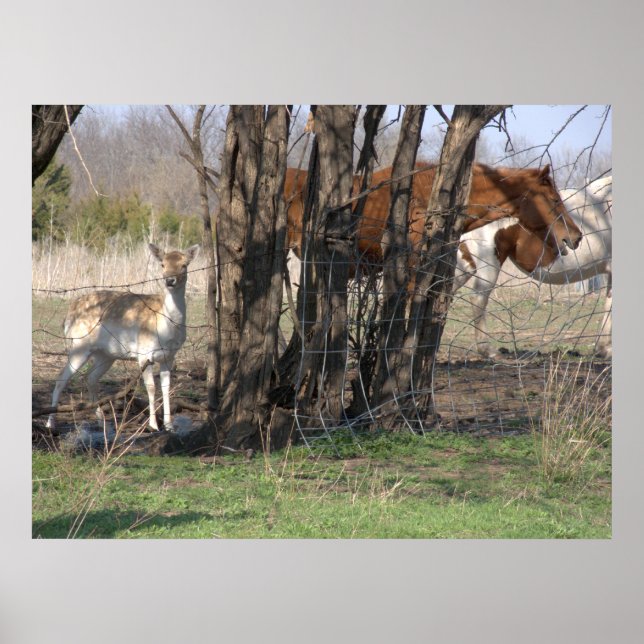 Living together Poster (Front)