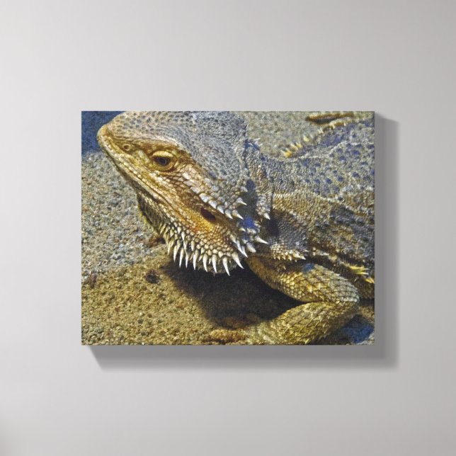 Living Under Fire - Bearded Dragon Canvas Print (Front)