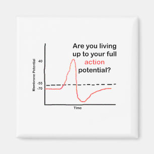 Living Up To Your Full Potential Magnet