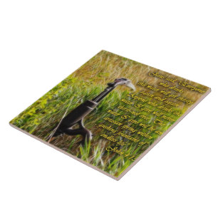 Living Water John 4 Inspirational Ceramic Tile