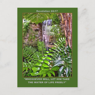 LIVING WATER Post card