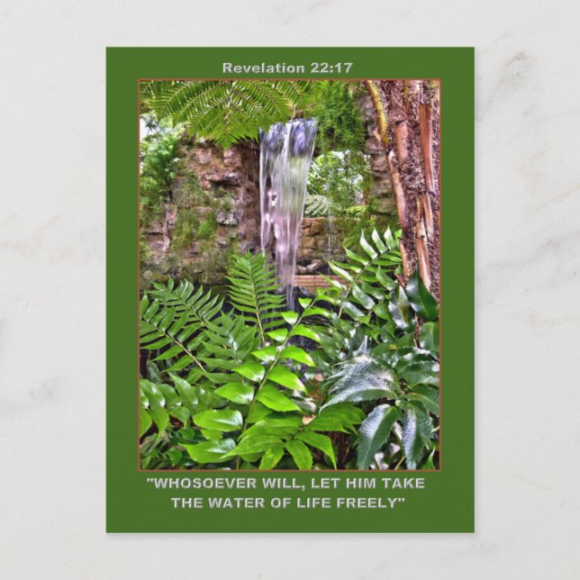 LIVING WATER Post card (Front)