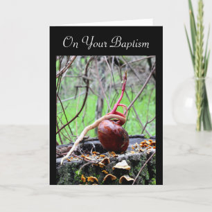 Living Word Buckeye Tree Sprout Adult Baptism Card