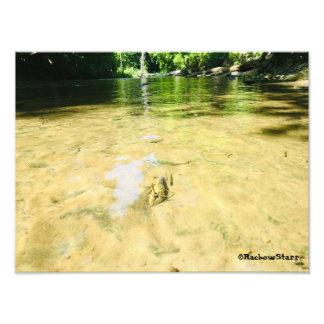 Livingston County Crawfish Photo Print