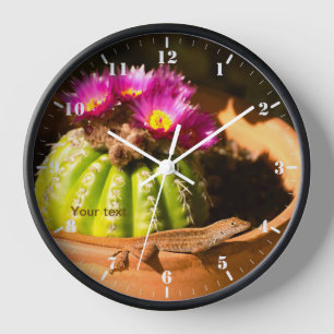 Lizard and Parodia cactus in bloom Clock