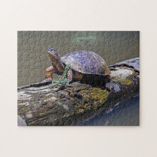 Lizard and River Turtle at Tortuguero - Costa Rica Jigsaw Puzzle