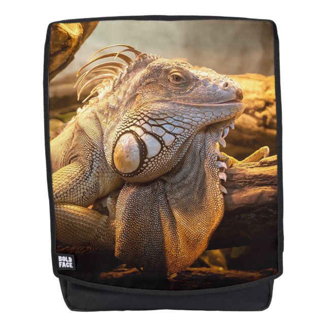 Lizard Backpack (Front)