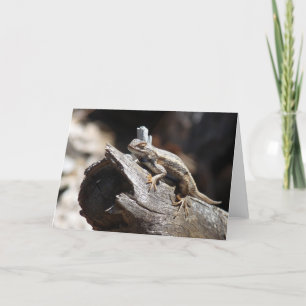 Lizard Blank Note Card