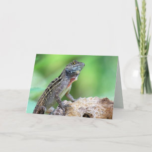 Lizard (Brown Anole) (6891) - Blank Inside Card