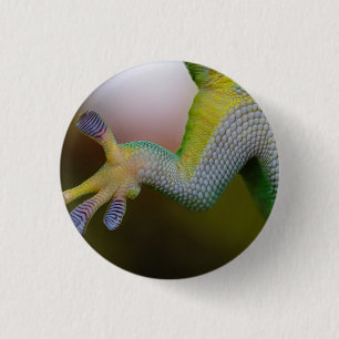 Lizard - Button