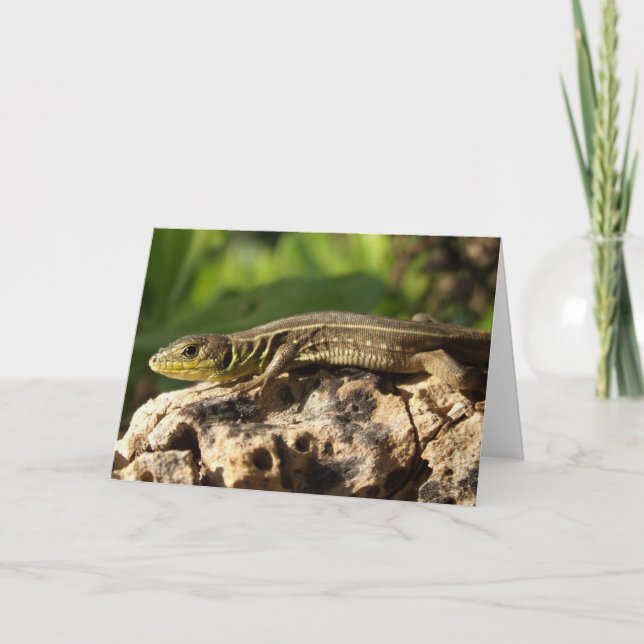 Lizard Card (Front)