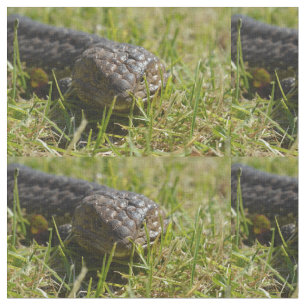 Lizard Creeping Australian Reptile, Fabric