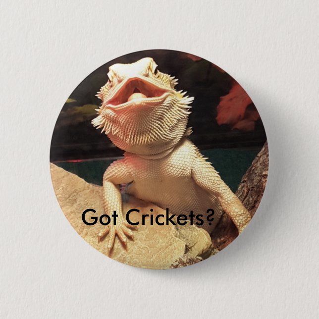 Lizard/Cricket Button (Front)