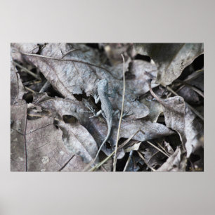Lizard in the Leaves Monochrome Camouflage Poster