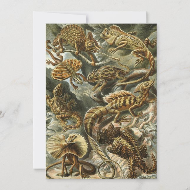 Lizard (Lacertilia) by Haeckel Invitation (Front)