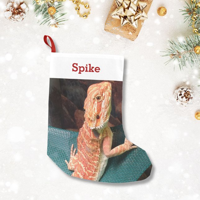 Lizard Lover Pet Photo and Name Personalised Small Christmas Stocking (Creator Uploaded)