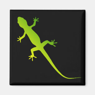Lizard magnet