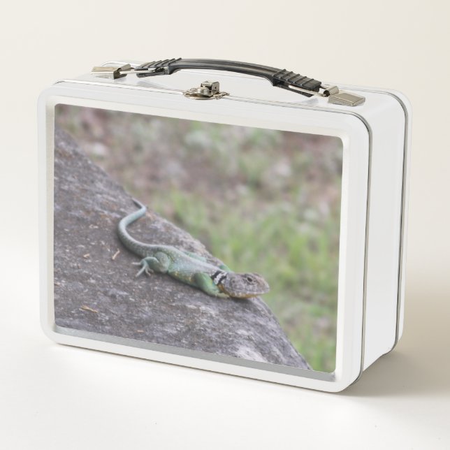 Lizard Metal Lunch Box (Front)