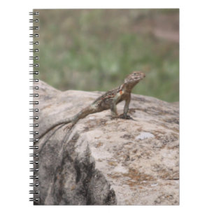Lizard Notebook