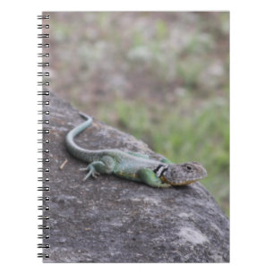 Lizard Notebook