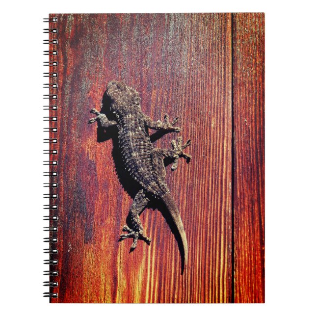 Lizard Notebook (Front)