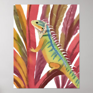 Lizard of caribbean poster