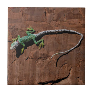 Lizard on a wall tile