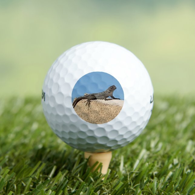 Lizard on Brick Golf Balls (Insitu Tee)