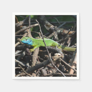 Lizard Photo Cocktail Paper Napkins