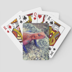 Lizard Playing Cards