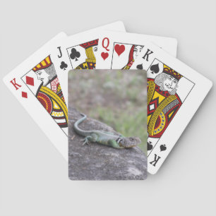 Lizard Playing Cards