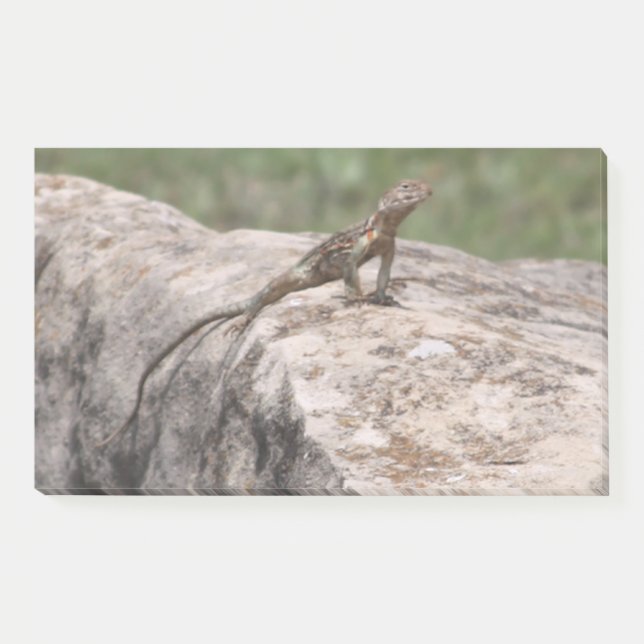 Lizard  post-it notes (Front)