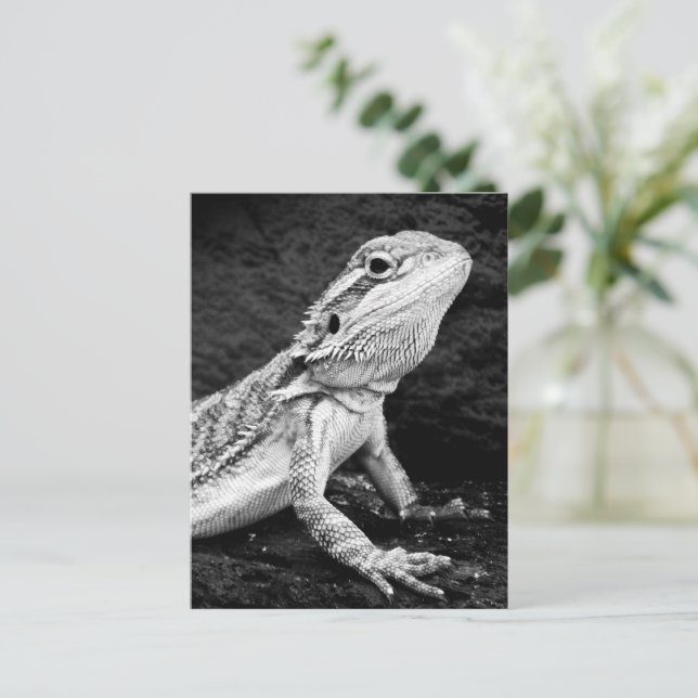 Lizard Postcard (Standing Front)