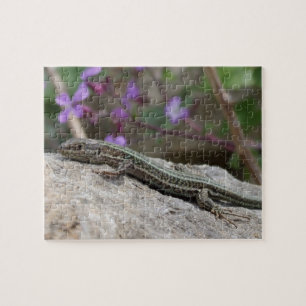 Lizard Puzzle