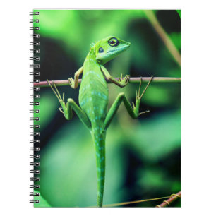 lizard, reptile, creature notebook