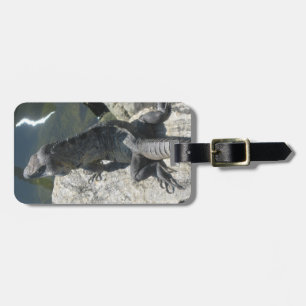 Lizard Rock Luggage Tag