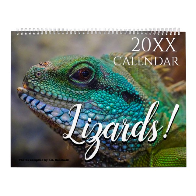 Lizard Themed 2026 Wall Calendar Gift (Cover)