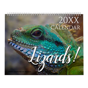 Lizard Themed 2027 Wall Calendar Gift