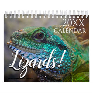 Lizard Themed 2027 Wall Calendar Gift