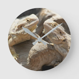 Lizard Time Bearded Dragon Clock