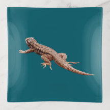 Lizard