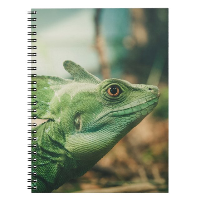 Lizard watch close up eye view notebook (Front)