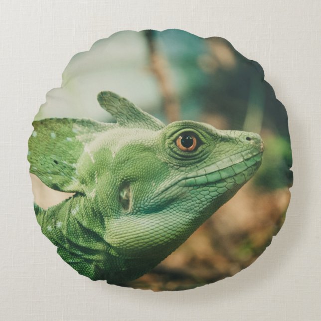 Lizard watch close up eye view round cushion (Front)