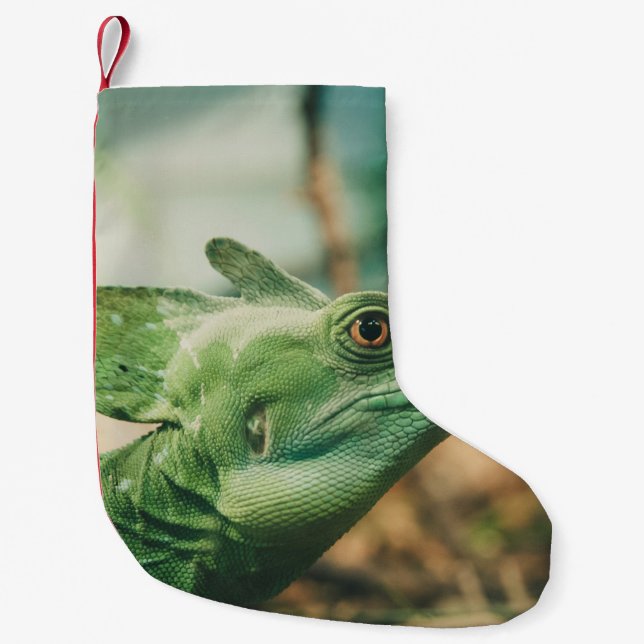 Lizard watch close up eye view small christmas stocking (Front)
