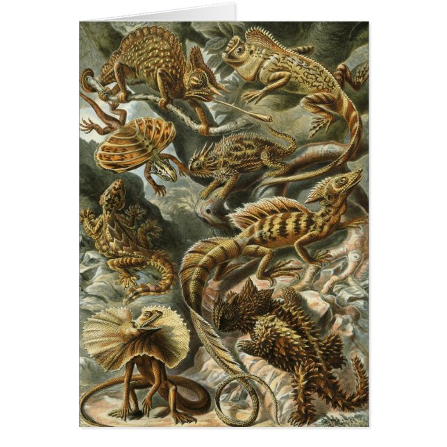 Lizards by Ernst Haeckel Vintage Lacertilia Animal (Front)