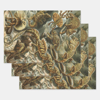Lizards by Ernst Haeckel Vintage Lacertilia Animal Wrapping Paper Sheet