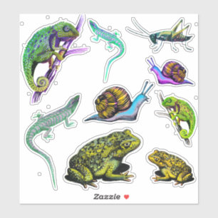 Lizards, frogs, chameleon, snails