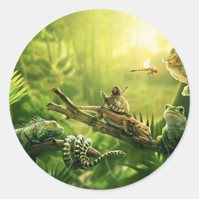 Lizards Frogs Jungle Reptiles Landscape Classic Round Sticker (Front)