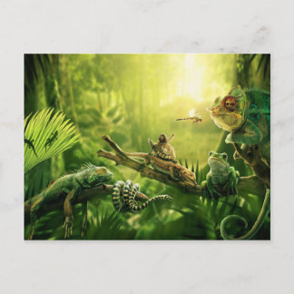 Lizards Frogs Jungle Reptiles Landscape Postcard