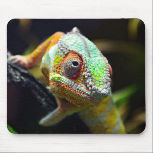 Lizards, reptiles mouse pad